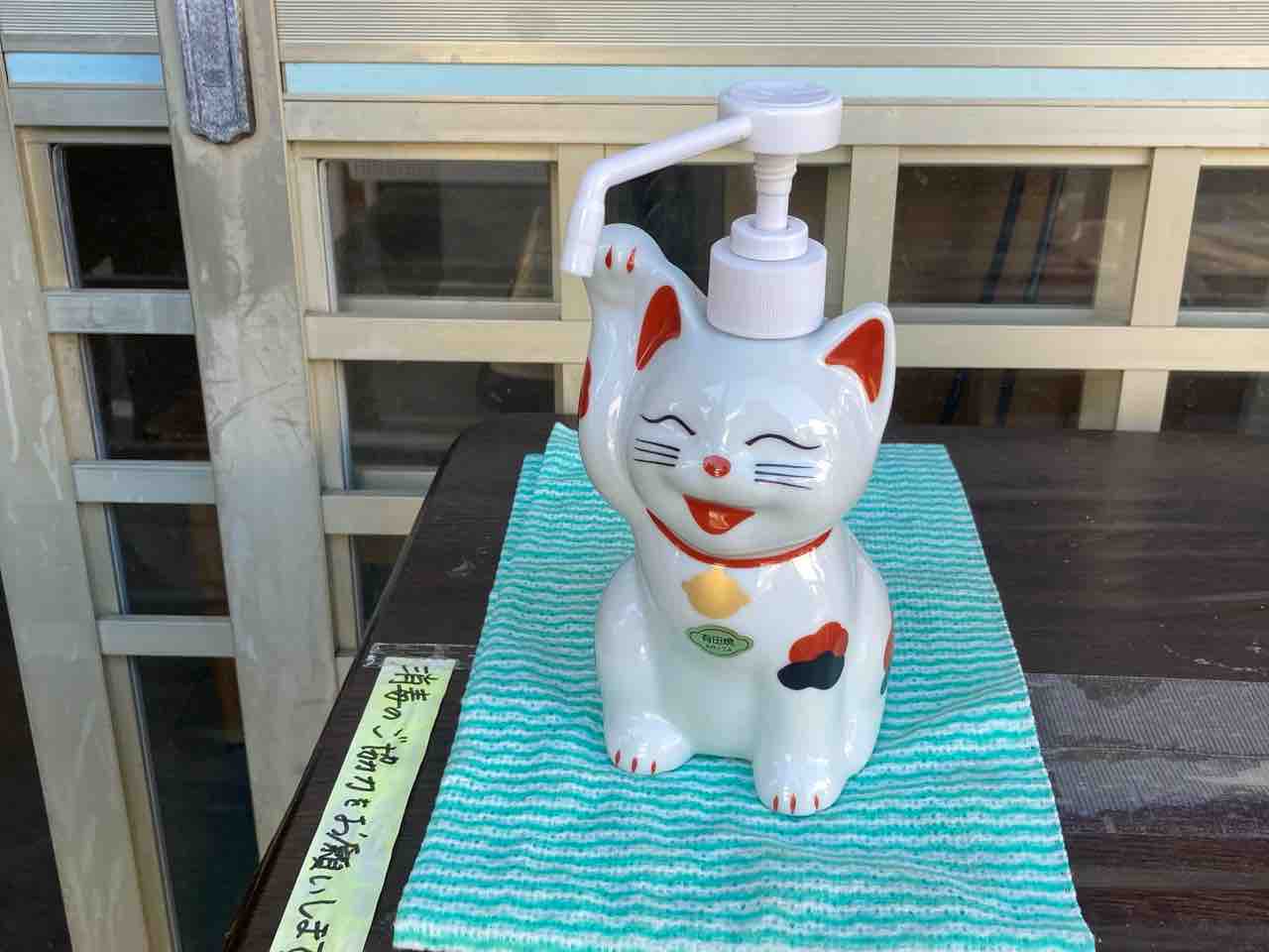 猫島 城ヶ島に行ったよ 海の近くに猫と住んでる