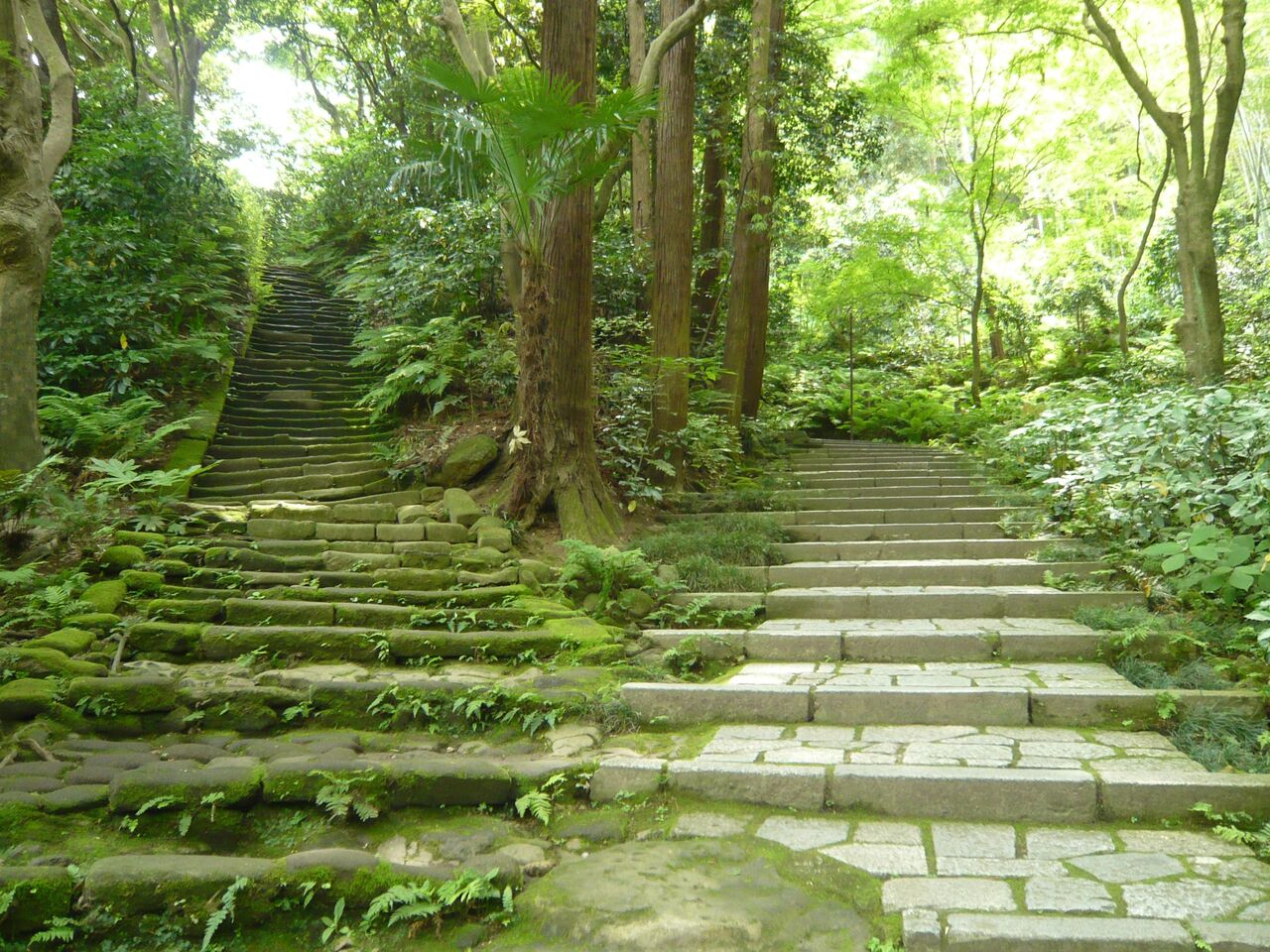 チャレンジクイズ⑳ 趣深い参道ベスト3 : 鎌倉の寺社・伝説