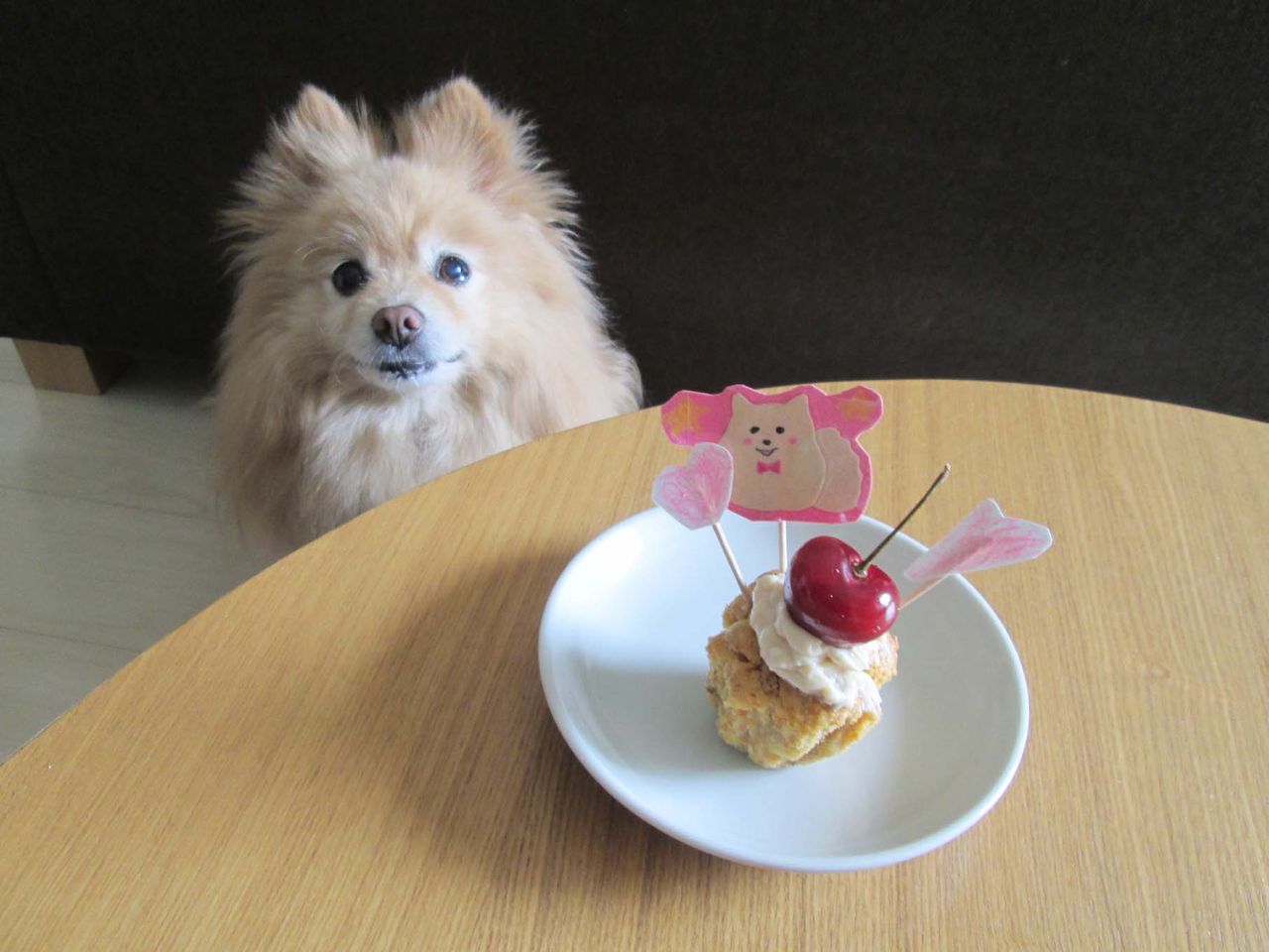 お誕生日マフィン 犬と子life お誕生日マフィン 犬と子life