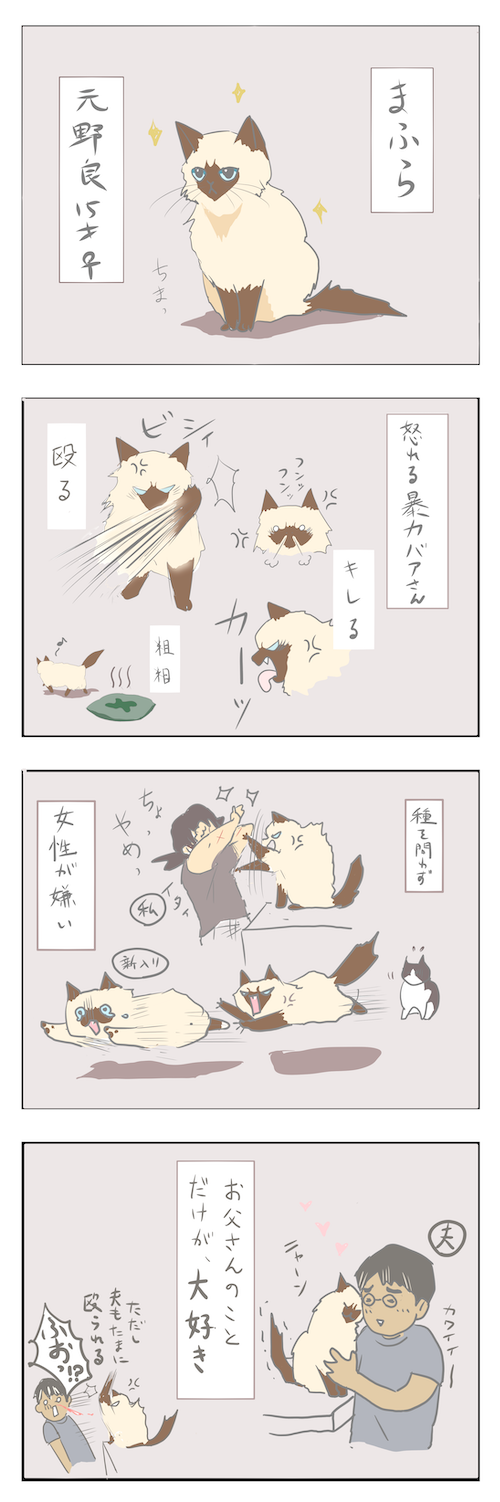 １話 怒れるまふら 猫漫画 やまねこ軒