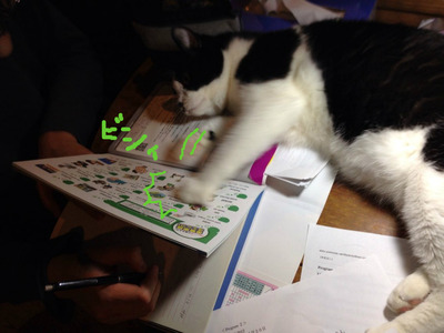 BlogPaint