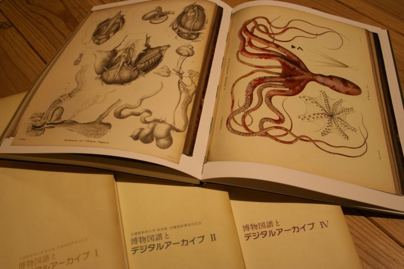博物図譜とデジタルアーカイブ」展図録 : Yatsugatake Trifle 2