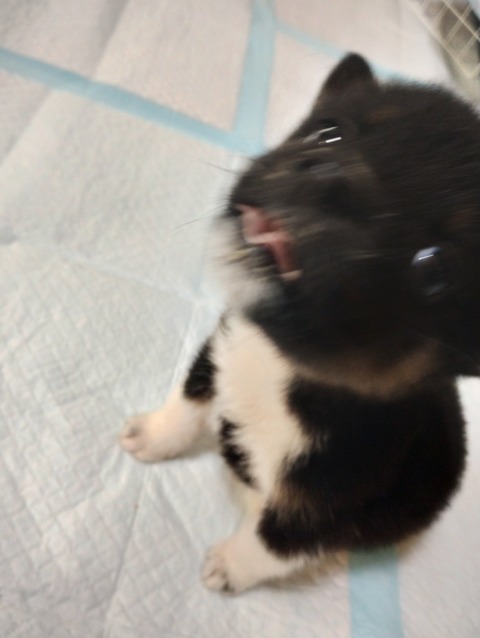 IMG_20231030_131851678_HDR