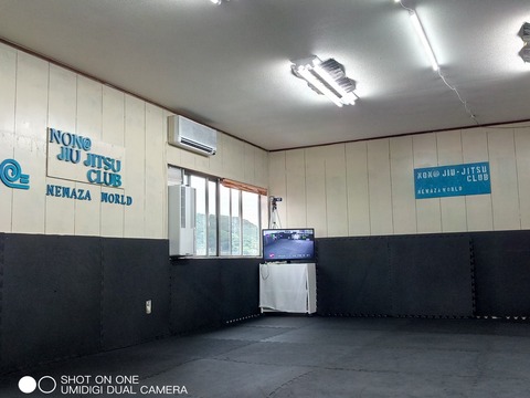 IMG_20190724_181248_5