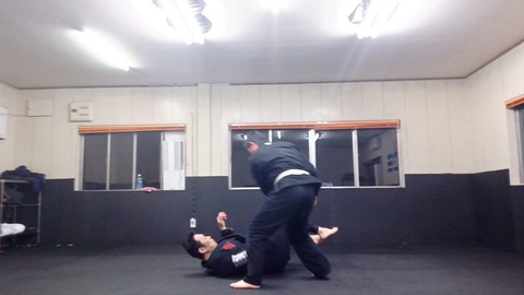 VID_20190313_191617_pict