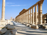 palmyra3