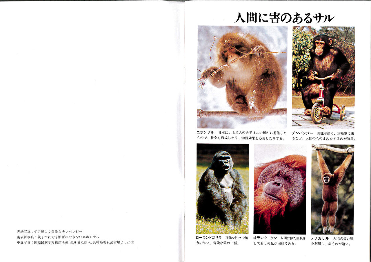 リアル猿の惑星も サルの脳に人間の遺伝子を移植 人間脳に類似し肥大化 これ知ってた 旬速情報まとめ リアル猿の惑星も サルの脳に人間の遺伝子を移植 人間脳に類似し肥大化 これ知ってた 旬速情報まとめ