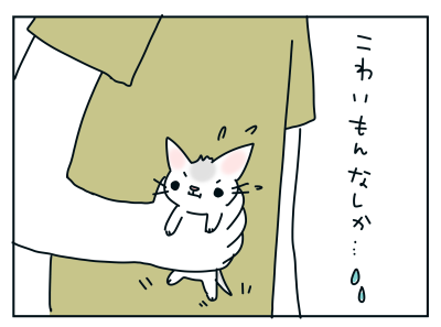 20191104_02