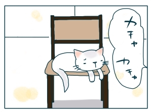 猫と一緒-20091214_10