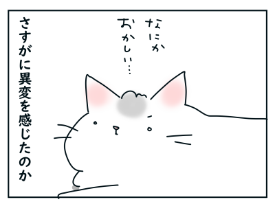 20200803_04
