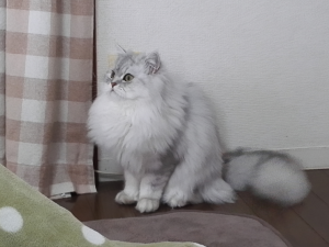 20170130_07P