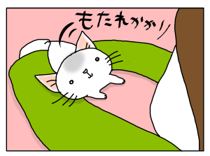 20170329_06