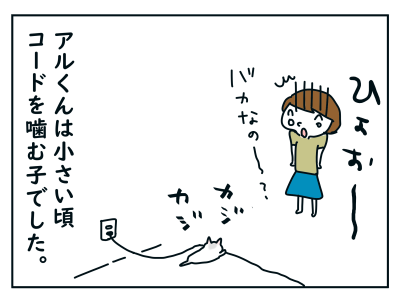 20191104_01