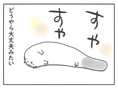 20220704_06