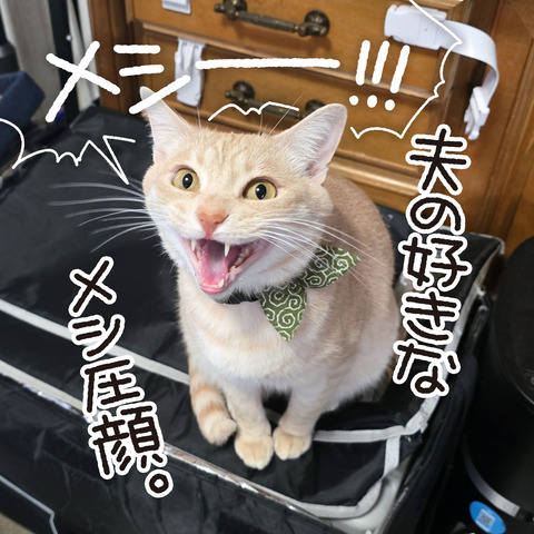 552_好きな麦の目6