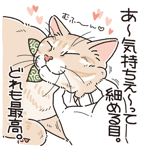 552_好きな麦の目3
