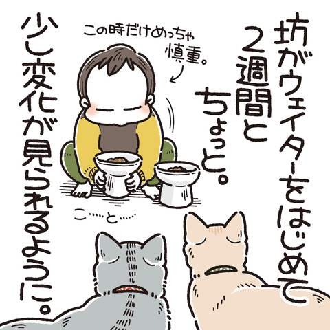 434_花と坊1