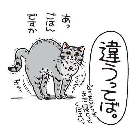 381_ツッコミも二倍3