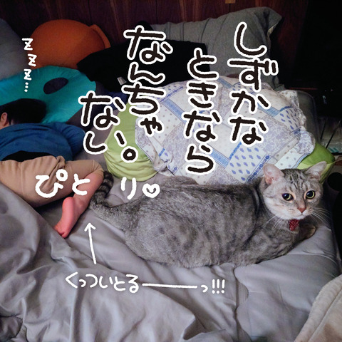 434_花と坊7
