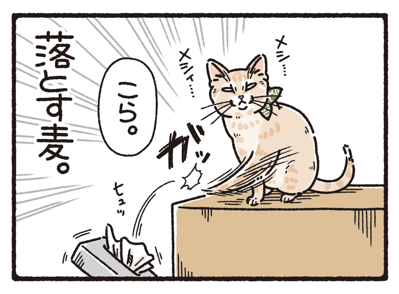猫麦 猫麦とろろ【LRPP】《黄》[型番BP03-098] - とにかく安い!!【カード