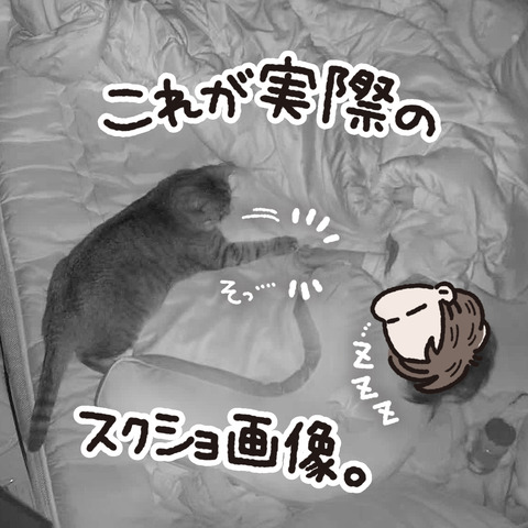 434_花と坊6
