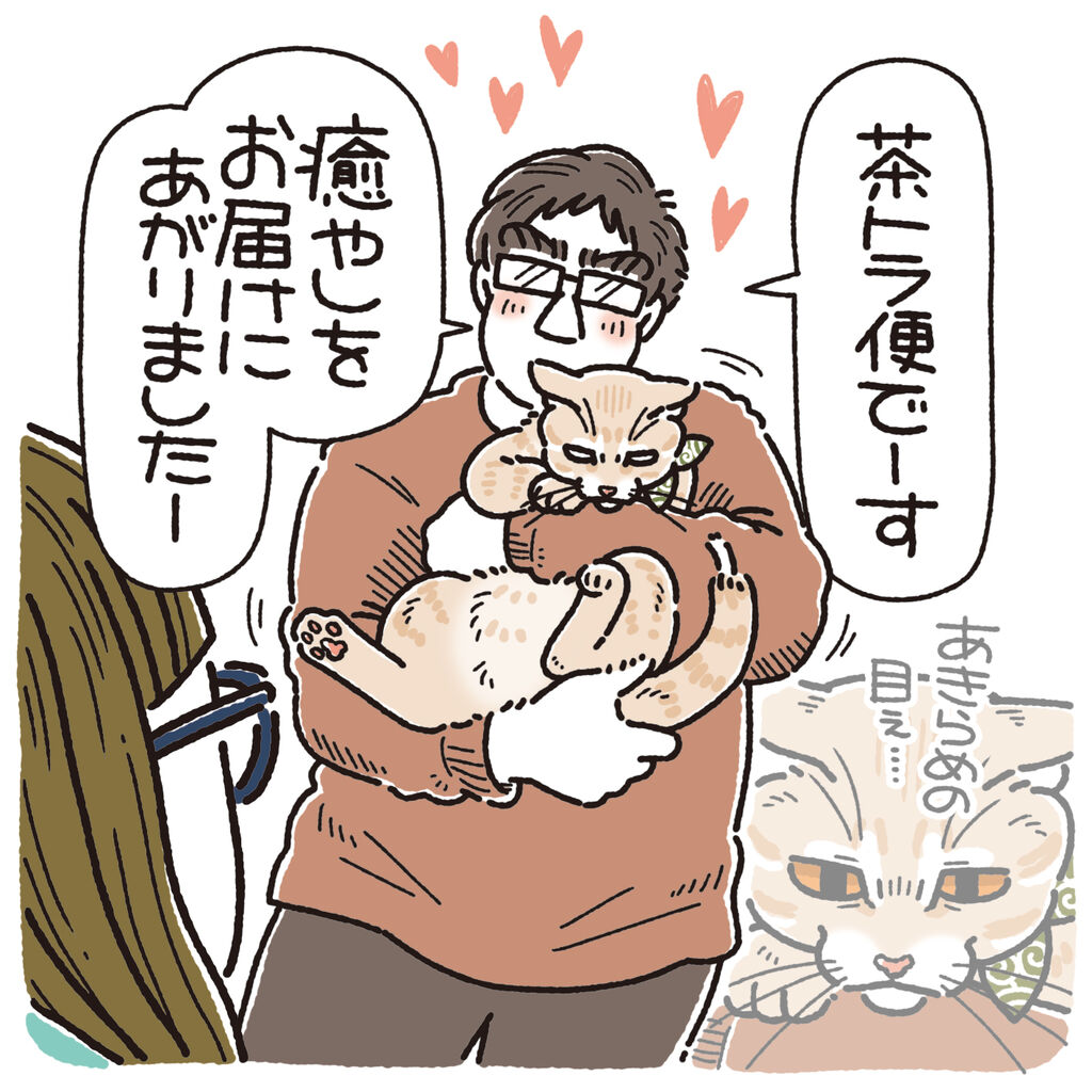 幸せを運ぶ茶トラ便とサバトラ便 : 笑う門には麦がいる Powered by