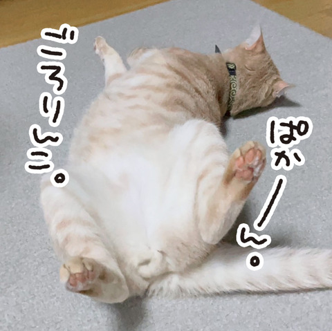 288_はじめての広島編⑥7