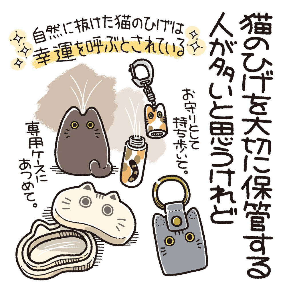 猫のひげを見つけたら : 笑う門には麦がいる Powered by ライブドアブログ