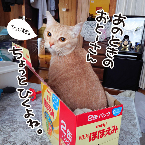 213_またやってる4