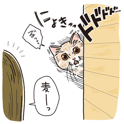 288_はじめての広島編⑥4