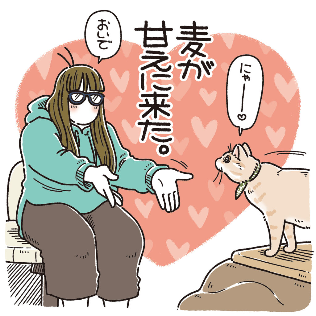 跳べない猫 : 笑う門には麦がいる Powered by ライブドアブログ