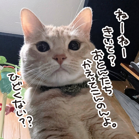 288_はじめての広島編⑥6