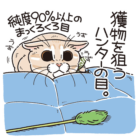 552_好きな麦の目2