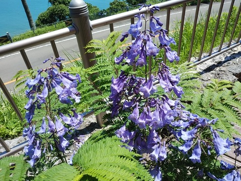 IMG_20200623_105021