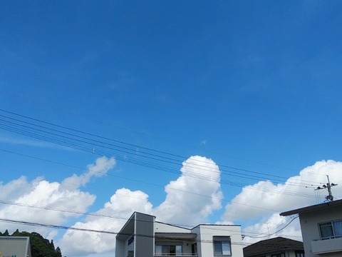 IMG_20200728_104148