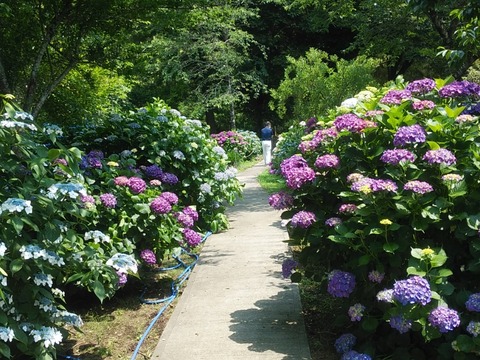 IMG_20200607_103927