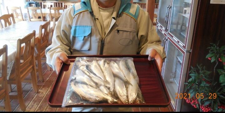 西湖ヒメマス釣り10回目 西湖ヒメマス釣り日記