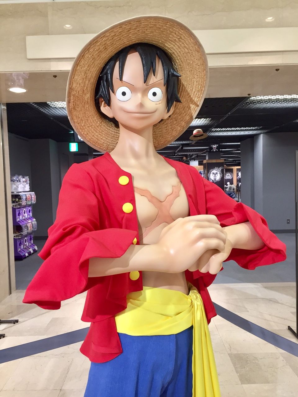 出張店 One Piece 麦わらストア 京都 オープン One Piece 麦わらストア 航海日誌
