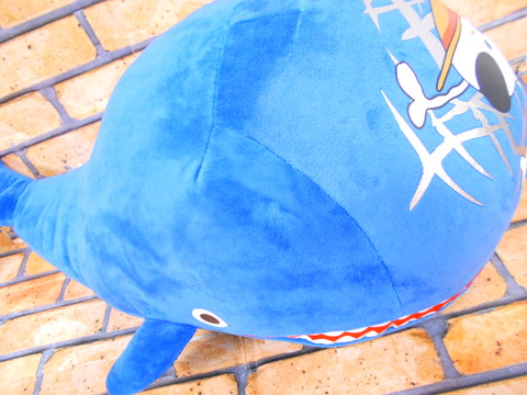 DSCN7375