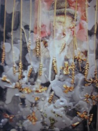 09