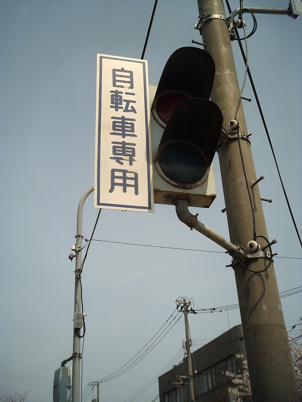自転車専用信号 W チラ