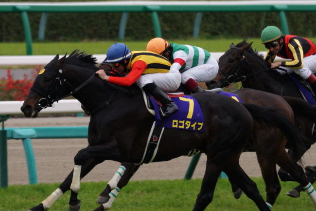 産経大阪杯15予想 軸馬は ロゴタイプ が1番最適か Kbi 競馬捜査局