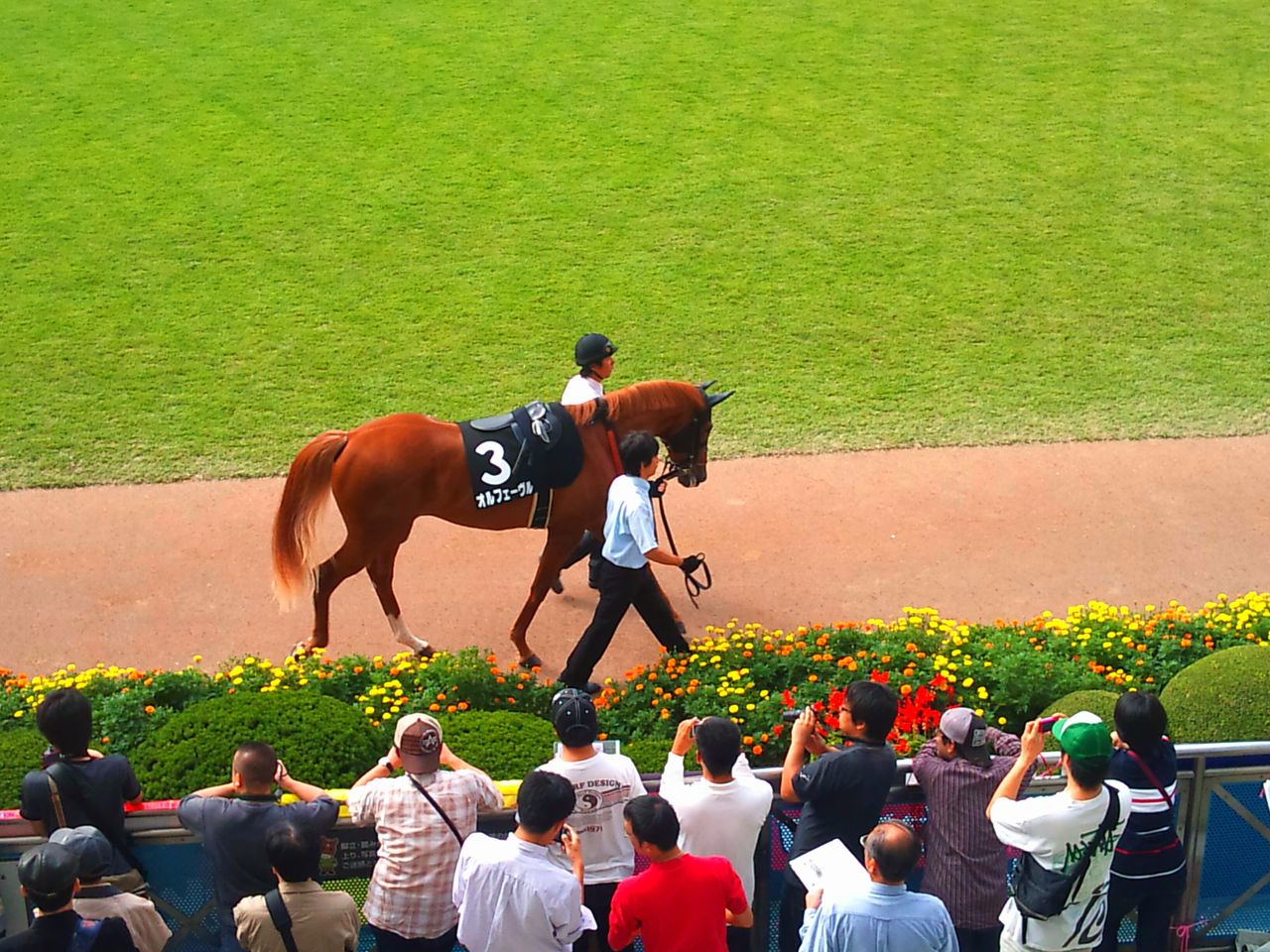 競馬 金色の暴君オルフェーヴルとはいったいなんだったのか Kbi 競馬捜査局 競馬 金色の暴君オルフェーヴルとはいったいなんだったのか Kbi 競馬捜査局