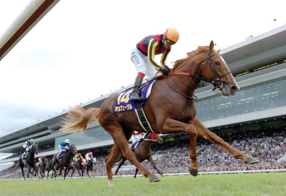 世紀の対決 金色の暴君オルフェーヴル Vs 英雄ディープインパクト Kbi 競馬捜査局 世紀の対決 金色の暴君オルフェーヴル Vs 英雄ディープインパクト Kbi 競馬捜査局