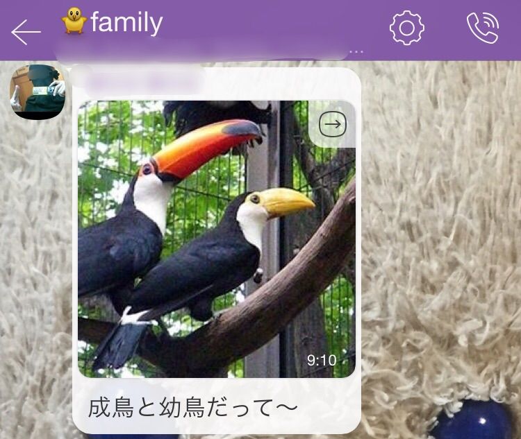 ばなちゃんとバナナ鳥 ふわふわ教 ばなちゃんとバナナ鳥 ふわふわ教