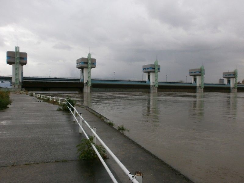 台風12号で淀川の様子 Imanotokoroyoteinasi 台風12号で淀川の様子 Imanotokoroyoteinasi