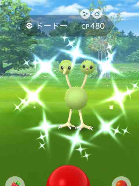 ポケモンgo ドードーの色違い2匹ゲット ミルミルのotakuな株式投資 Blog ポケモンgo ドードーの色違い2匹ゲット ミルミルのotakuな株式投資 Blog