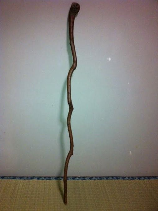 ⑨アカザ杖 古来の中風除けに！植物ですから同じ物は有りません ⑨