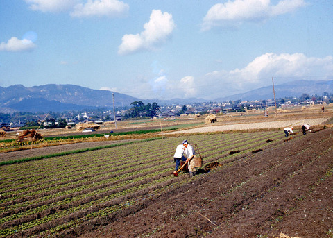 Coloured+Photos+of+Japan+in+1950+%2815%29
