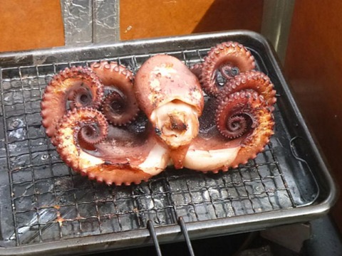 yakitako